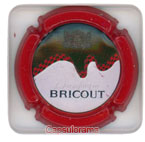 BRICOUT
