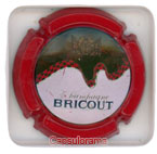 BRICOUT