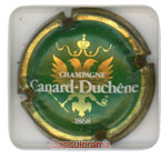 CANARD DUCHENE