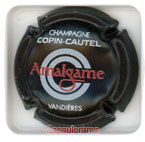 COPIN-CAUTEL