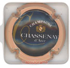 CHASSENAY-D'ARCE