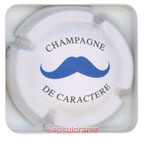 DE CASTELNAU