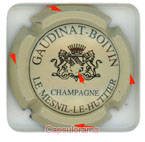GAUDINAT-BOIVIN