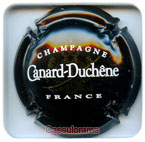 CANARD DUCHENE