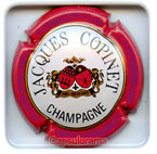 COPINET Jacques