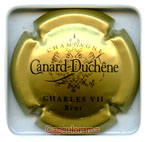CANARD DUCHENE