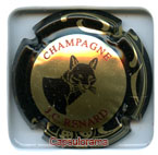RENARD J. C.