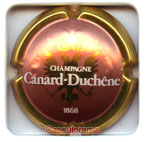 CANARD DUCHENE