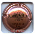 CANARD DUCHENE