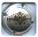 CANARD DUCHENE
