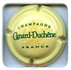 CANARD DUCHENE