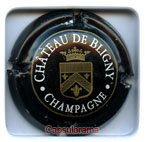 CHATEAU DE BLIGNY