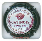 GATINOIS