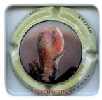 CO.GE.VI