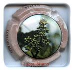 CO.GE.VI