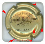 CANARD DUCHENE