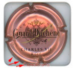 CANARD DUCHENE