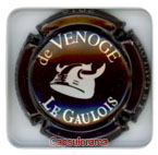DE VENOGE