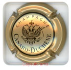 CANARD DUCHENE