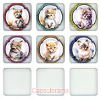 POUILLON-CHAYOUX