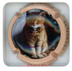 FRANCINET Remy
