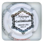 GAUDRILLER Serge