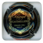 GAUDRILLER Serge