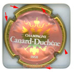 CANARD DUCHENE
