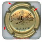 CANARD DUCHENE