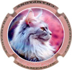 Générique