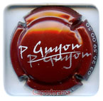 GUYON P.