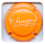 GUYON P.