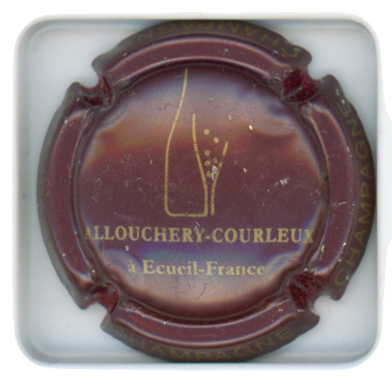 ALLOUCHERY-COURLEUX - Vue détaillée