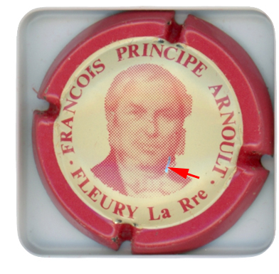 ARNOULT Francois Principe - Vue détaillée