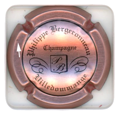 BERGERONNEAU Philippe - Vue détaillée