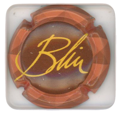 BLIN - Vue détaillée