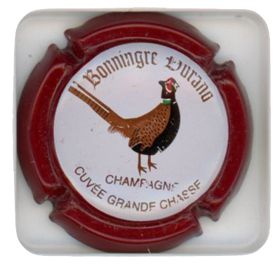 BONNINGRE-DURAND - Vue détaillée
