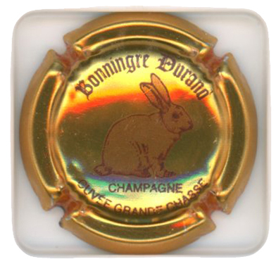 BONNINGRE-DURAND - Vue détaillée