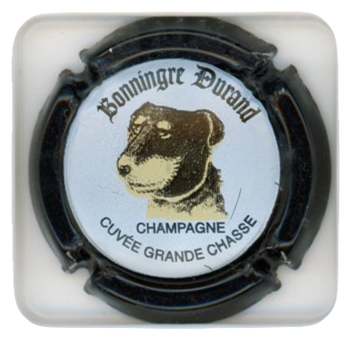 BONNINGRE-DURAND - Vue détaillée