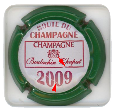 BOULACHIN-CHAPUT - Vue détaillée