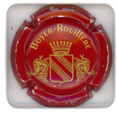 BOYER-ROUILLERE - Vue détaillée