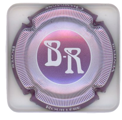 BOYER-ROUILLERE - Vue détaillée