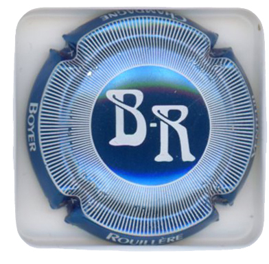 BOYER-ROUILLERE - Vue détaillée