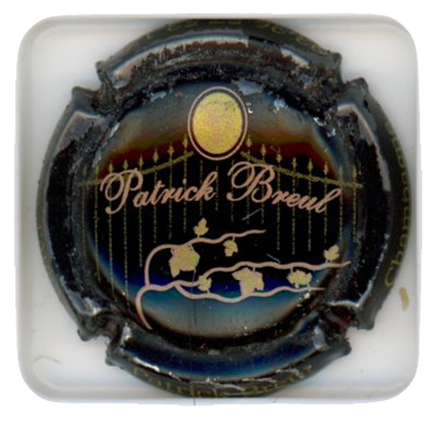 BREUL Patrick - Vue détaillée