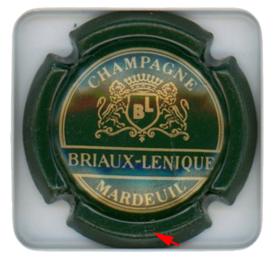BRIAUX-LENIQUE - Vue détaillée