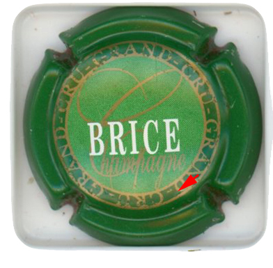 BRICE - Vue détaillée