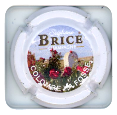 BRICE Stéphane - Vue détaillée