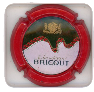 BRICOUT - Vue détaillée