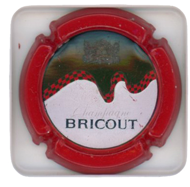 BRICOUT - Vue détaillée