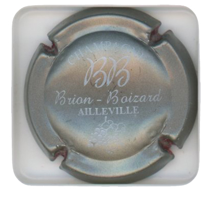 BRION BOIZARD - Vue détaillée